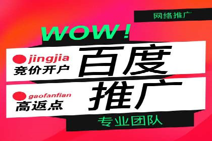 高效百度推广案例解析及优化策略
